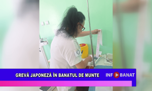 Grevă japoneză în Banatul de Munte