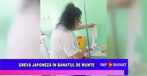 Grevă japoneză în Banatul de Munte