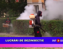 Lucrări de dezinsecție