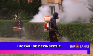 Lucrări de dezinsecție