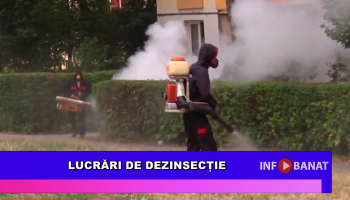 Lucrări de dezinsecție