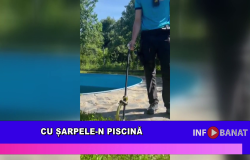 Cu șarpele-n piscină