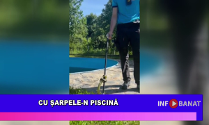 Cu șarpele-n piscină