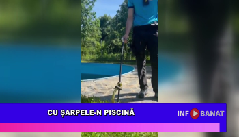 Cu șarpele-n piscină