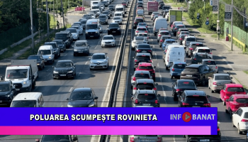 Poluarea scumpește rovinieta