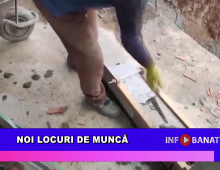 Noi locuri de muncă
