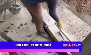 Noi locuri de muncă
