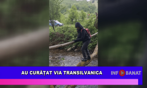 Au curățat VIA Transilvanica