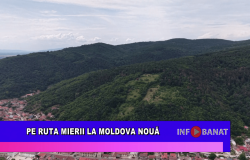 Pe ruta mierii la Moldova Nouă