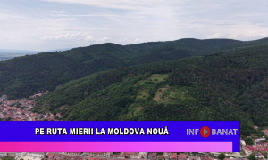 Pe ruta mierii la Moldova Nouă