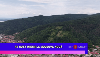 Pe ruta mierii la Moldova Nouă