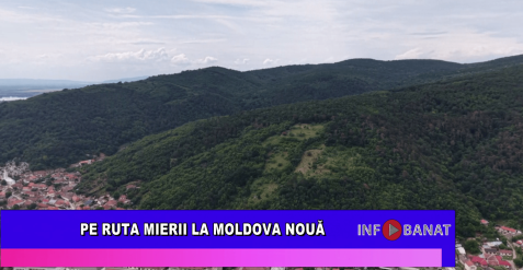 Pe ruta mierii la Moldova Nouă