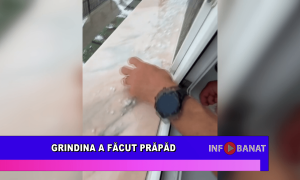Grindina a făcut prăpăd