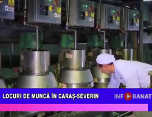 Locuri de muncă în Caraș-Severin