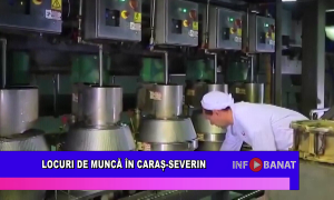 Locuri de muncă în Caraș-Severin