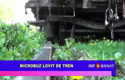 Microbuz lovit de tren