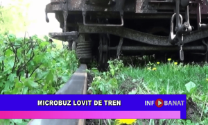 Microbuz lovit de tren