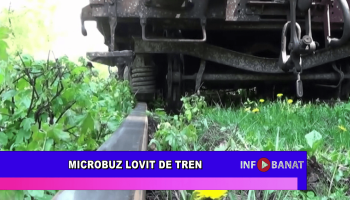 Microbuz lovit de tren