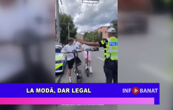 La modă, dar legal