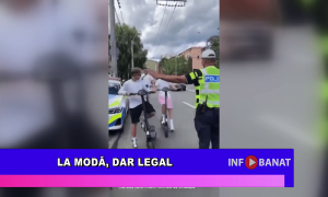La modă, dar legal