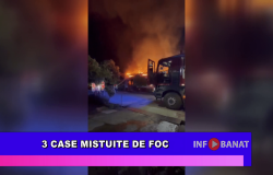 3 case mistuire de foc