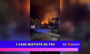 3 case mistuire de foc