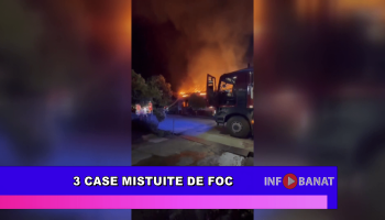 3 case mistuire de foc