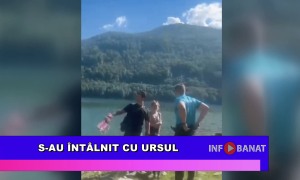 S-au întâlnit cu ursul