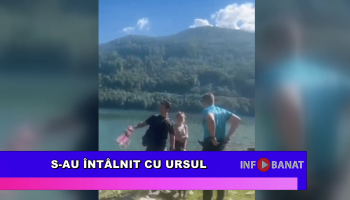 S-au întâlnit cu ursul