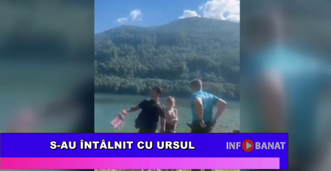 S-au întâlnit cu ursul