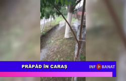 Prăpăd în Caraș