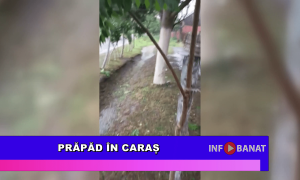 Prăpăd în Caraș