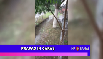 Prăpăd în Caraș