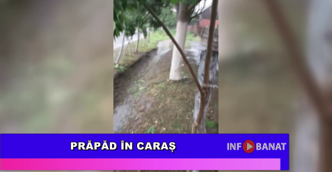 Prăpăd în Caraș