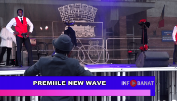 Premiile New Wave