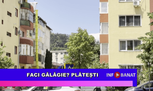 Faci gălăgie? Plătești!