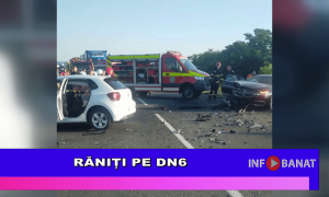 Răniți pe DN6
