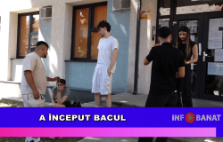 A început Bacul