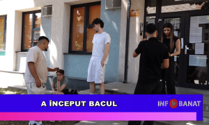 A început Bacul