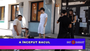 A început Bacul