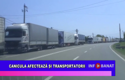 Canicula afectează și tranportatorii