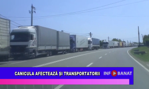 Canicula afectează și tranportatorii