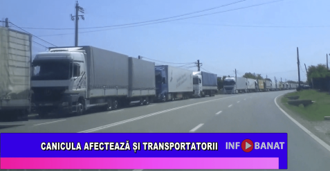Canicula afectează și tranportatorii
