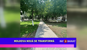 Moldova Nouă se transformă