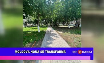 Moldova Nouă se transformă