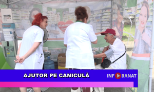 Ajutor pe caniculă