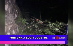 Furtuna a lovit județul
