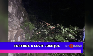 Furtuna a lovit județul
