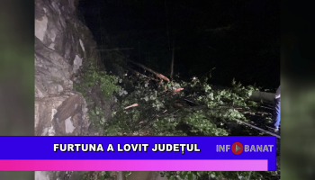 Furtuna a lovit județul