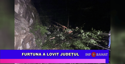 Furtuna a lovit județul